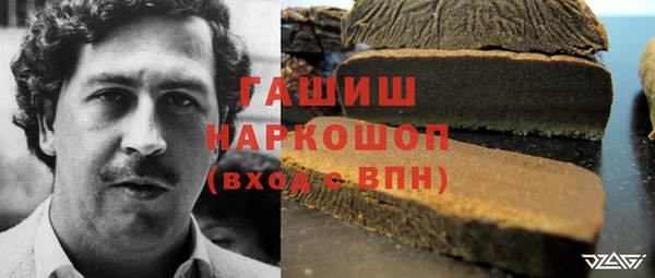 соль ск Горнозаводск